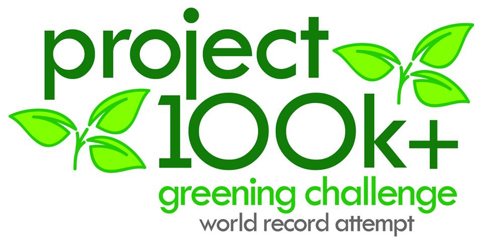 record logo